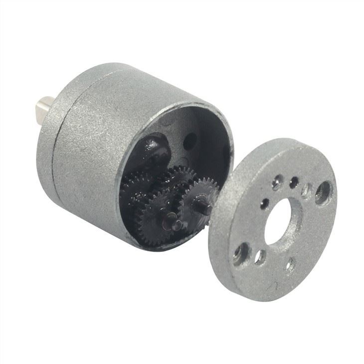 Spur Gear Motor